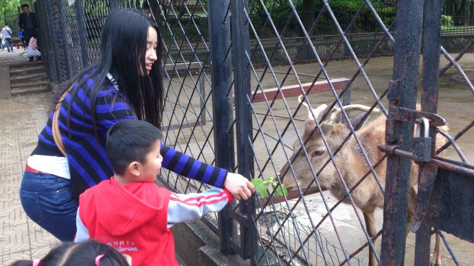 孩子與動物們的親密接觸.png 孩子與動物們的親密接觸.png